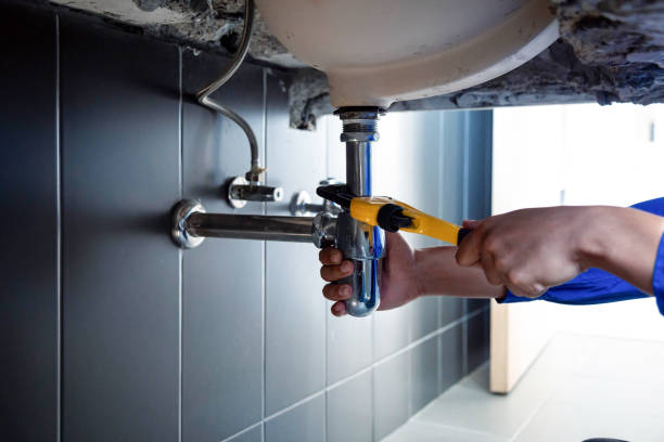 Best Green Plumbing Solutions in Lake Pocotopaug, CT